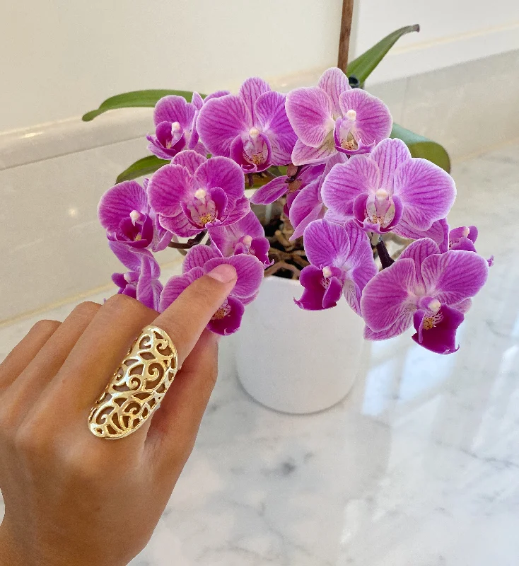Romantic Heart-Shaped Jewelry For Special Gifts PAISLEY FILAGREE RING