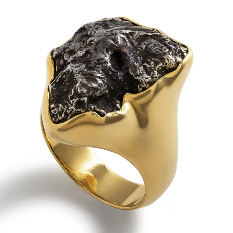 Elevate Your Jewelry Collection With Limited-Time Savings Unisex Authentic Sikhote-Alin Meteorite Ring Elevate Your Jewelry Collection With Limited-Time Savings Unisex Authentic Sikhote-Alin Meteorite Ring