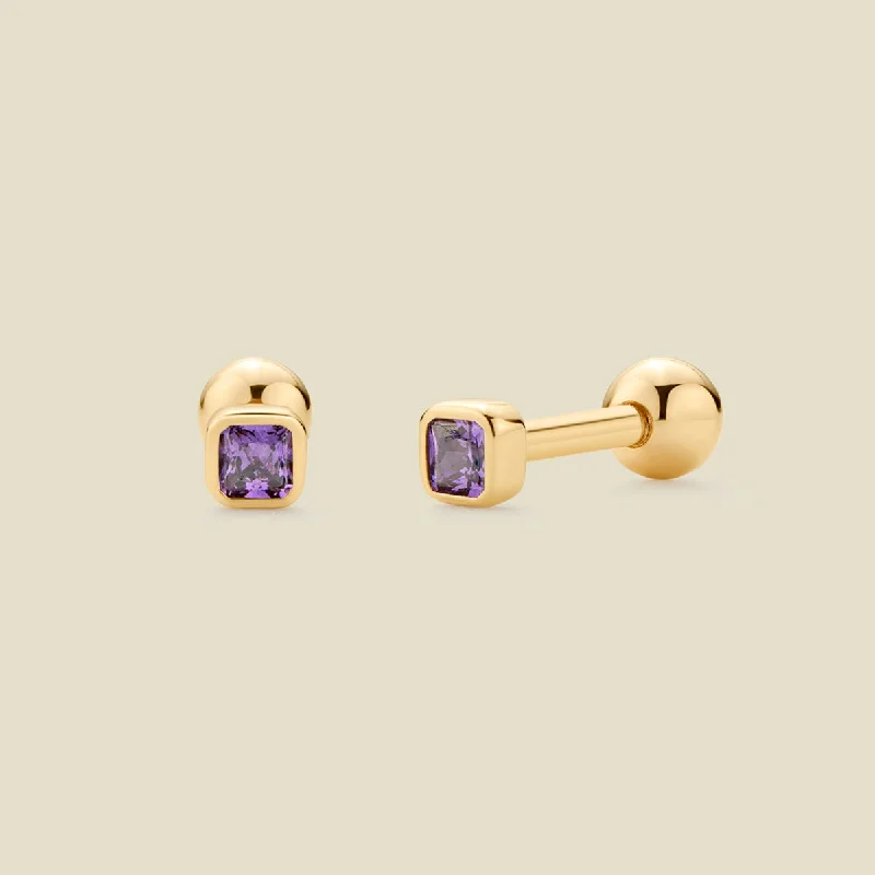 Timeless Jewelry Styles At Wallet-Friendly Prices February Birthstone Stud Earrings