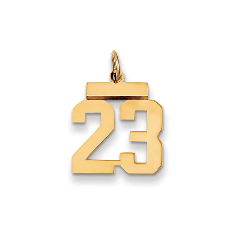 The Perfect Jewelry Piece At The Perfect Price 14k Yellow Gold, Athletic Collection, Small Polished Number 23 Pendant The Perfect Jewelry Piece At The Perfect Price 14k Yellow Gold, Athletic Collection, Small Polished Number 23 Pendant