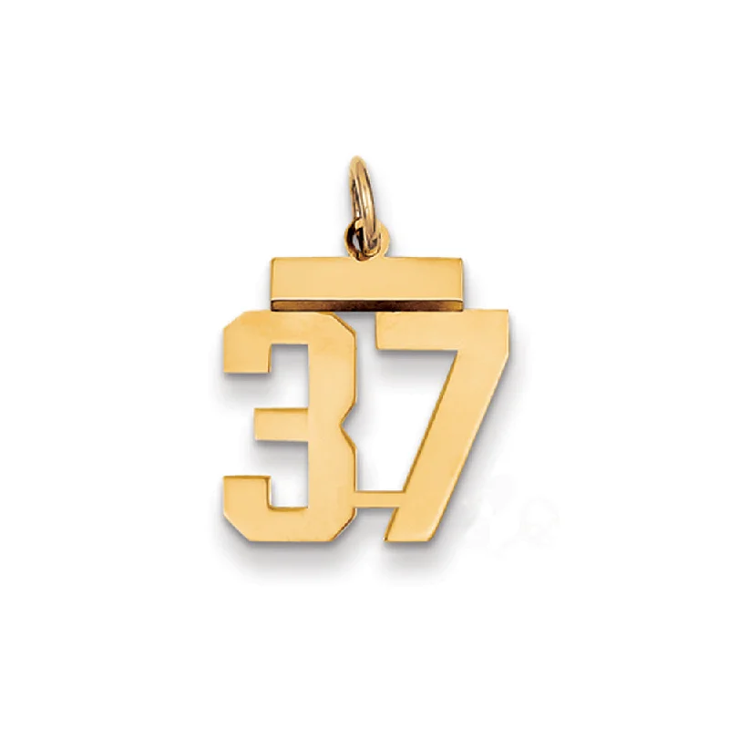 Don't Miss These Dazzling Jewelry Discounts 14k Yellow Gold, Athletic Collection, Small Polished Number 37 Pendant Don't Miss These Dazzling Jewelry Discounts 14k Yellow Gold, Athletic Collection, Small Polished Number 37 Pendant
