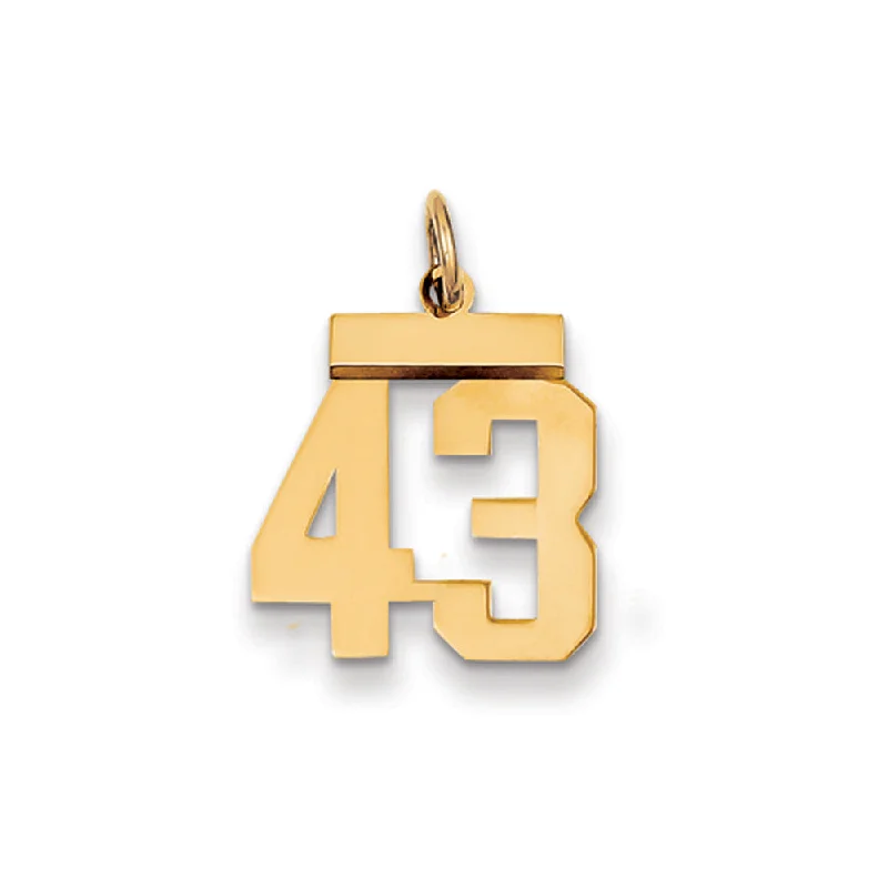 Flash Sale On Elegant Jewelry – Don't Miss Out 14k Yellow Gold, Athletic Collection, Small Polished Number 43 Pendant Flash Sale On Elegant Jewelry – Don't Miss Out 14k Yellow Gold, Athletic Collection, Small Polished Number 43 Pendant