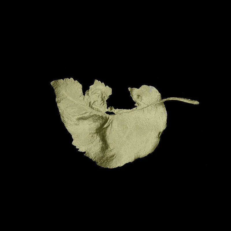 Must-Have Jewelry At Unbelievable Discounts Fallen Leaves - Apple Leaf Brooch