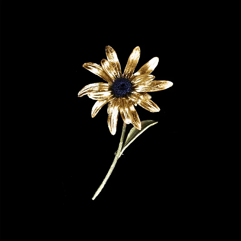 Timeless Jewelry Styles At Wallet-Friendly Prices Black-Eyed Susan Brooch