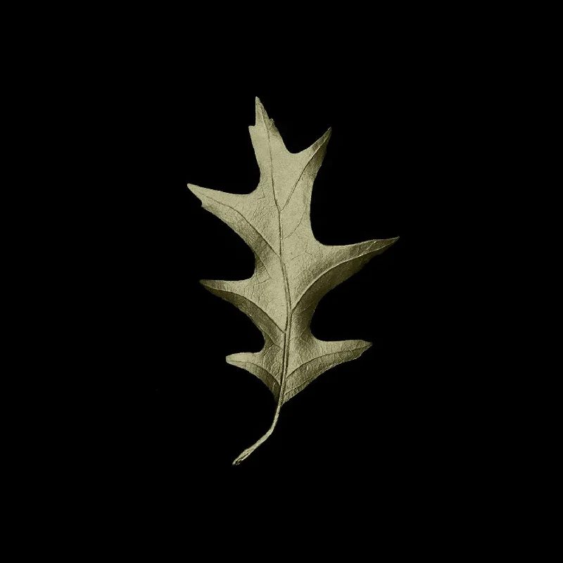 Stunning Jewelry Pieces At The Lowest Prices Ever Fallen Leaves - Oak Leaf Lapel Pin Stunning Jewelry Pieces At The Lowest Prices Ever Fallen Leaves - Oak Leaf Lapel Pin